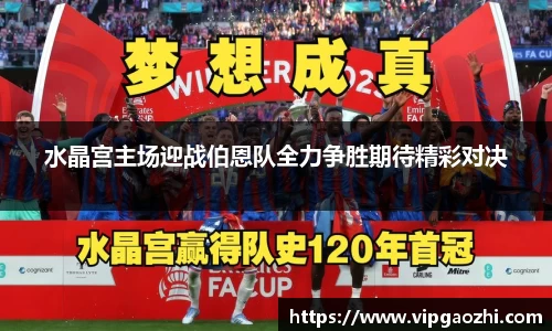 水晶宫主场迎战伯恩队全力争胜期待精彩对决